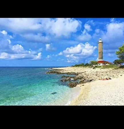 公寓 Long Island Olive 萨利