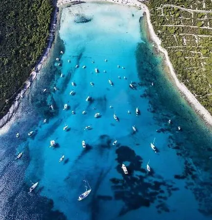 公寓 Long Island Olive