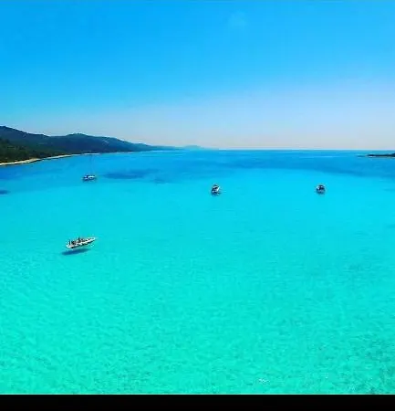 Long Island Olive 公寓 萨利