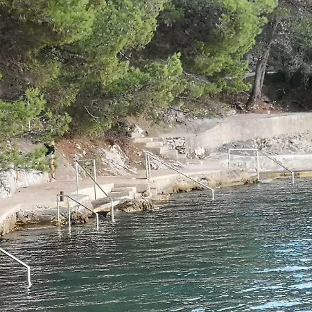 Long Island Olive * 萨利