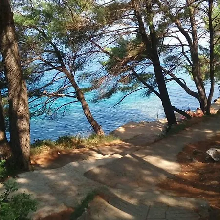 Long Island Olive 公寓 萨利