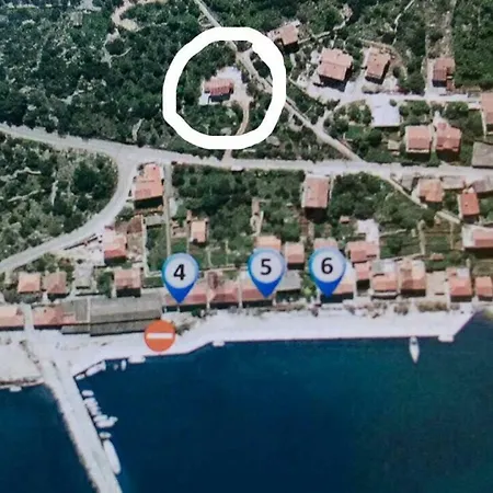 Long Island Olive 萨利