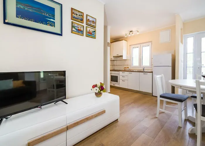 Long Island Olive * Сали