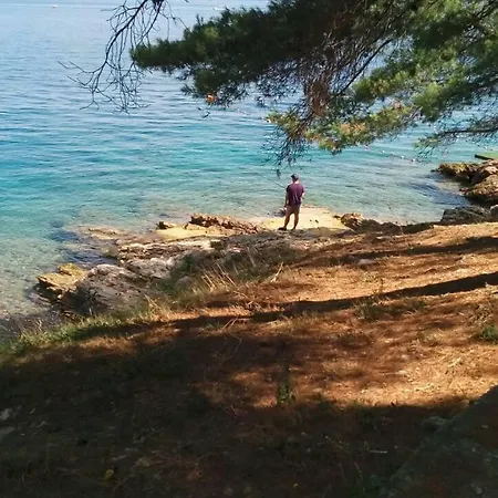 Apartamento Long Island Olive Sali