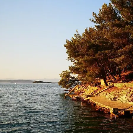 아파트 Long Island Olive *