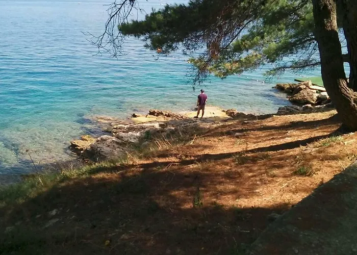 Διαμέρισμα Long Island Olive Sali