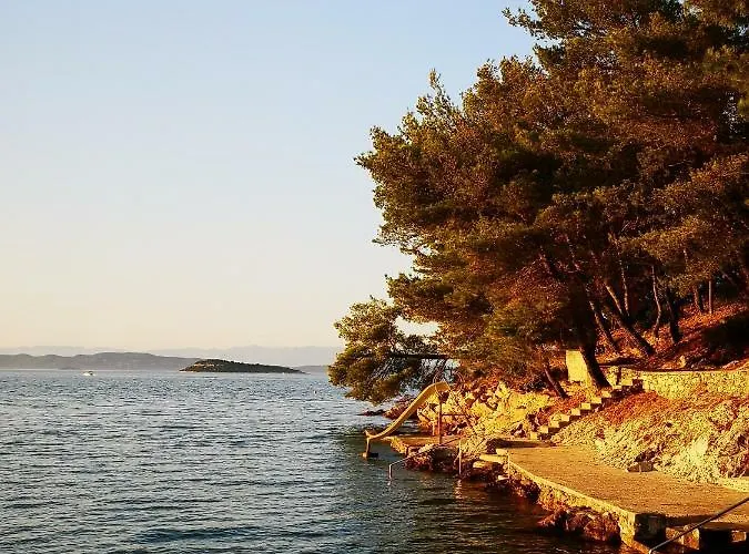 Διαμέρισμα Long Island Olive *