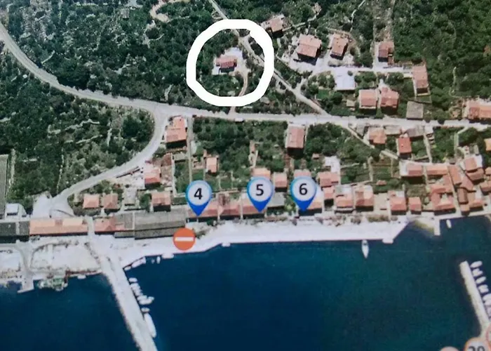 Long Island Olive Sali