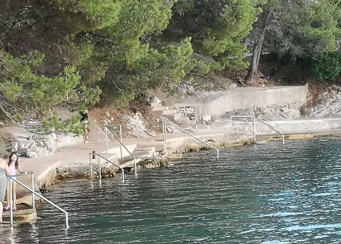 Long Island Olive * Sali