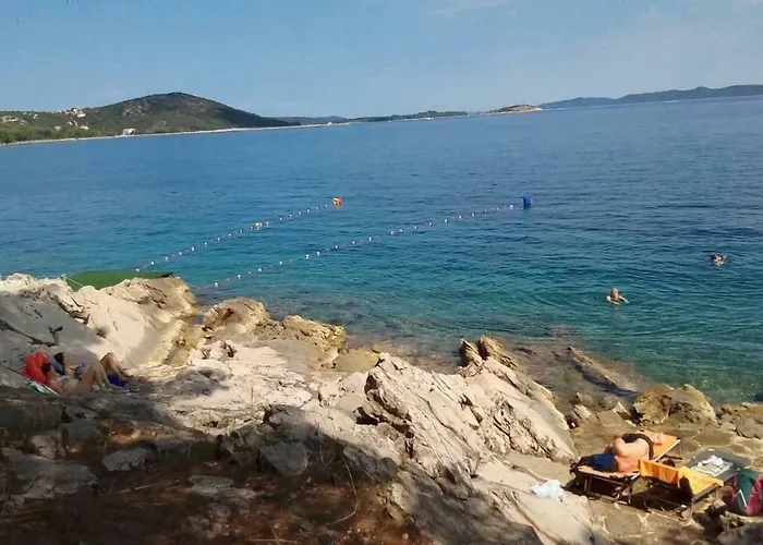 Lejlighed Long Island Olive