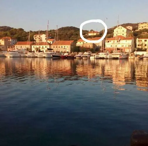 Long Island Olive Lejlighed *